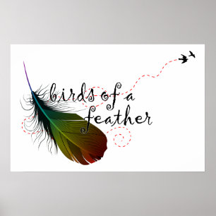 birds of a feather. poster