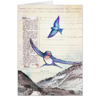 Birds of a Welsh Valley