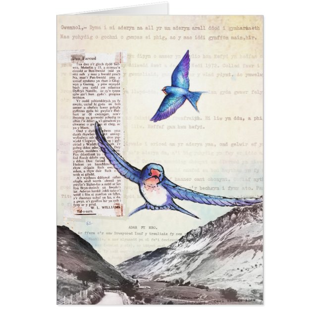 Birds of a Welsh Valley (Front)