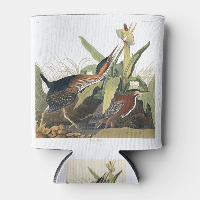Birds of America (1827) by John James Audubon Can Cooler (Front)