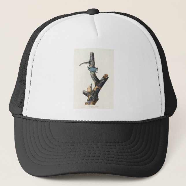 Birds of America (1827) by John James Audubon Trucker Hat (Front)
