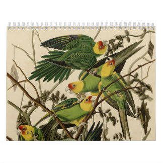 Birds of America Calendar