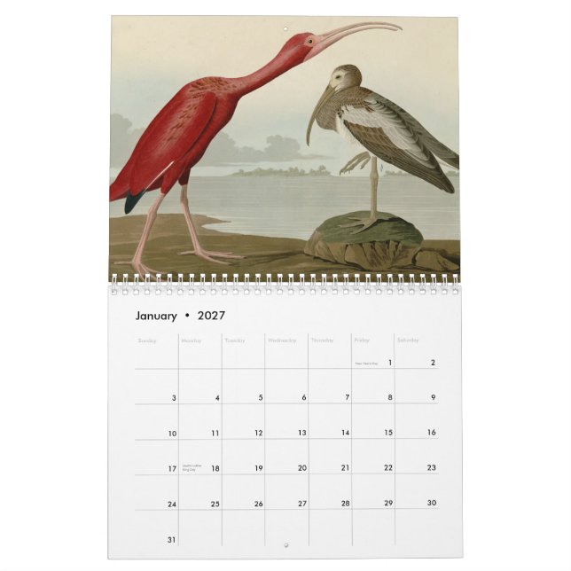 Birds of America Calendar (Jan 2027)