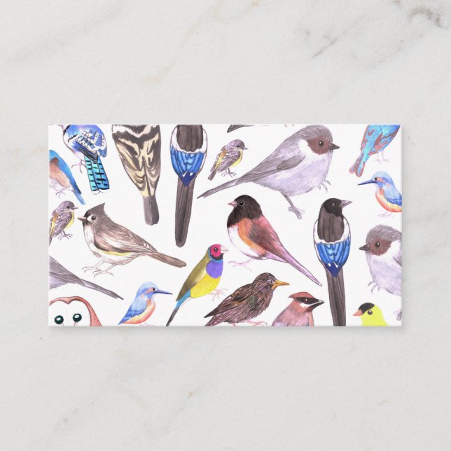 Birds of America- pets and wild birds Business Card (Front)