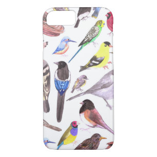 Birds of America- pets and wild birds iPhone 8/7 Case