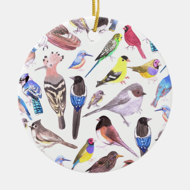 Birds of America- pets and wild birds Ceramic Tree Decoration (Front)