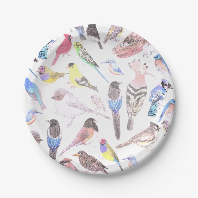 Birds of America- pets and wild birds in pastel Paper Plate (Front)