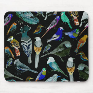 Birds of America- pets and wild birds Mouse Mat