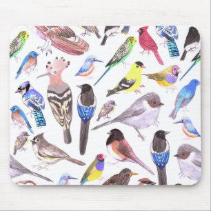Birds of America- pets and wild birds Mouse Mat