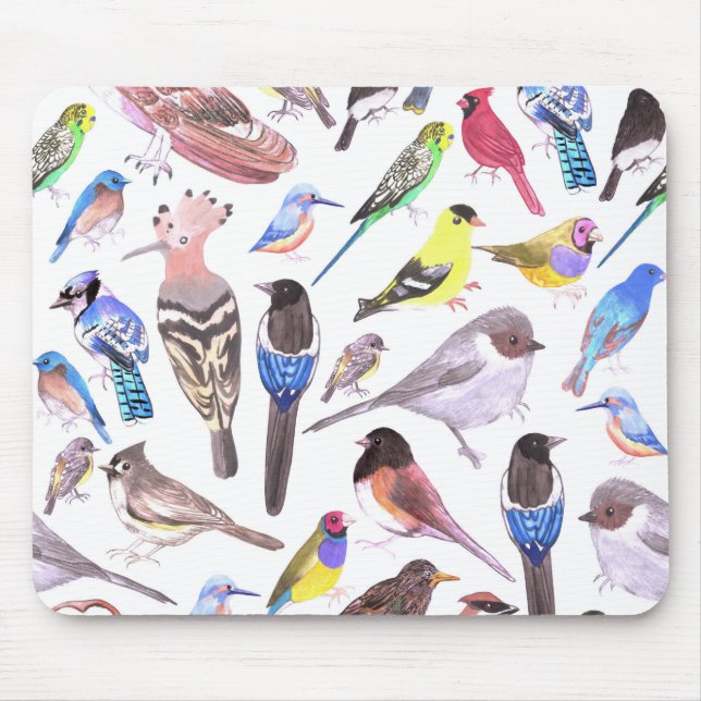 Birds of America- pets and wild birds Mouse Mat (Front)