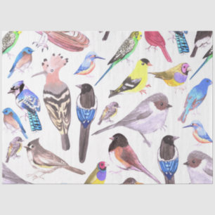 Birds of America- pets and wild birds Tissue Paper