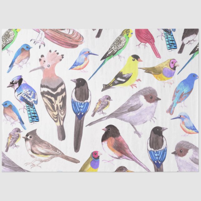 Birds of America- pets and wild birds Tissue Paper (Front)