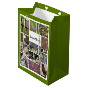 Birds of Boston Photo Collage Medium Gift Bag