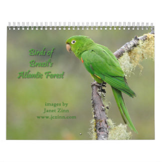 Birds of Brazil's Atlantic Forest Calendar