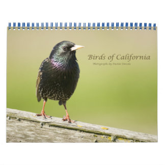 Birds of California 2010 Calendar
