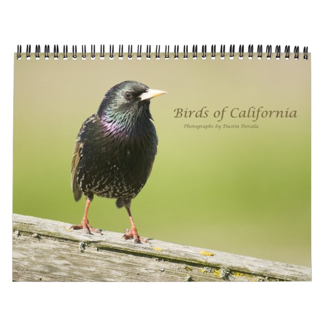 Birds of California Calendar (Cover)