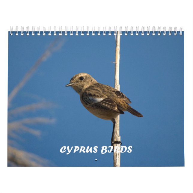 Birds of Cyprus calendar (Cover)