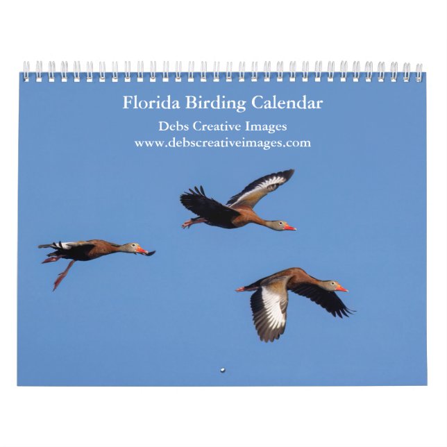 Birds of Florida 2026 Calendar (Cover)