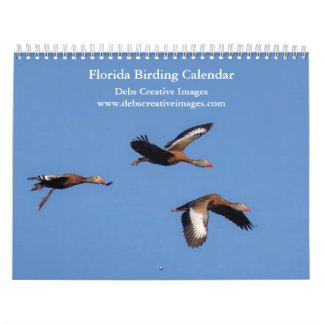 Birds of Florida 2026 Calendar
