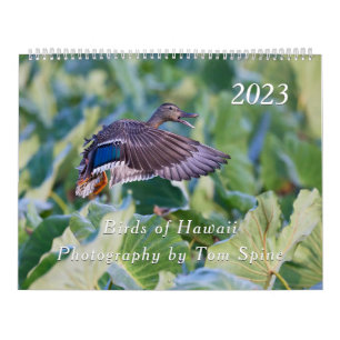 Birds of Hawaii - 2023 Calendar