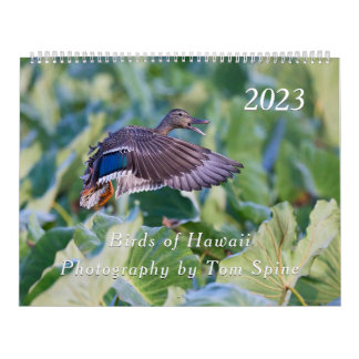 Birds of Hawaii - 2023 Calendar