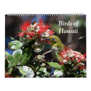 Birds of Hawaii Calendar
