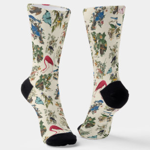Birds of John James Audubon Socks
