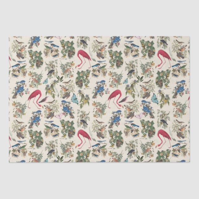 Birds of John James Audubon Tissue Paper (Front)