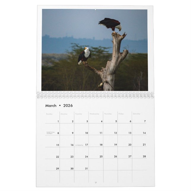 Birds of Kenya - Lake Naivasha Calendar (Mar 2026)