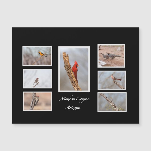 Birds of Madera Canyon Arizona (Front)