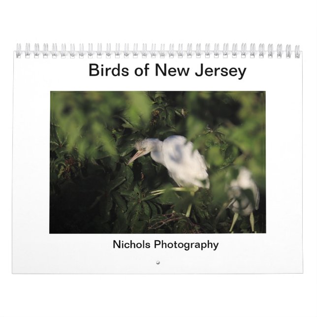 Birds of New Jersey Calendar (Cover)