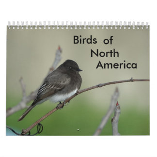 Birds of North America 2011 Calendar