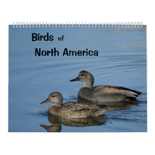 Birds of North America Calendar