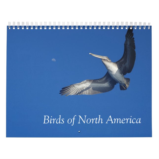 Birds of North America calendar (Cover)