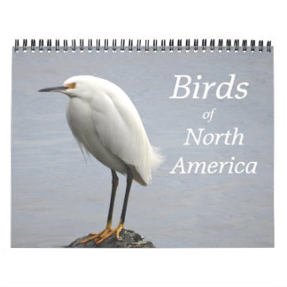 Birds of North America Calendar