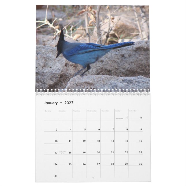 Birds of North America Calendar (Jan 2027)