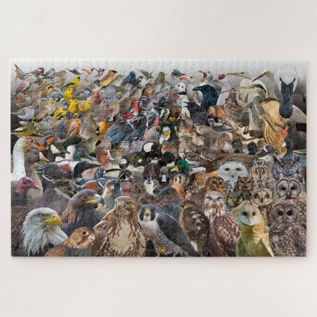 Birds of North America Jigsaw Puzzle (Horizontal)