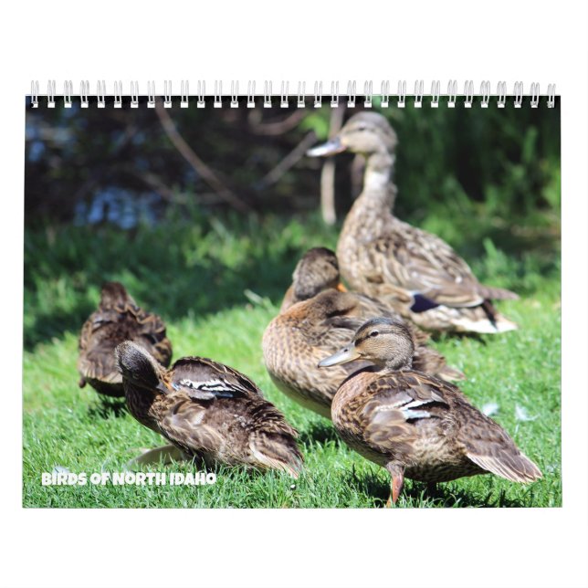 Birds of North Idaho Calendar (Cover)