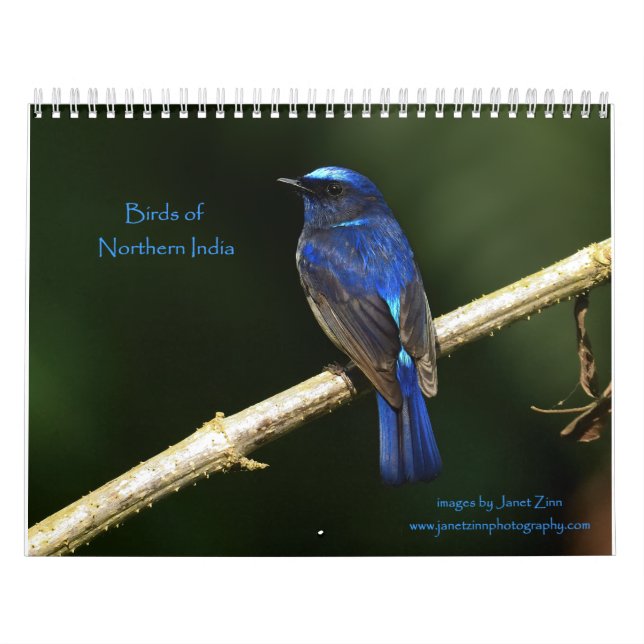 Birds of Northern India Calendar (Cover)
