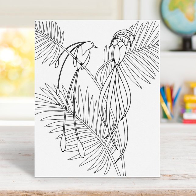 Birds of Paradise Colouring Page Poster (Creator Uploaded)