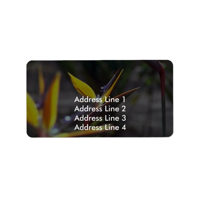 Birds Of Paradise Label (Front)