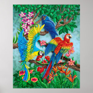 Birds of Paradise Poster