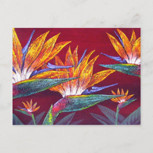 Birds Of Paradise Tropical Flower - Multi Postcard