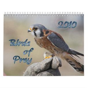 Birds of Prey 2010 Calendar