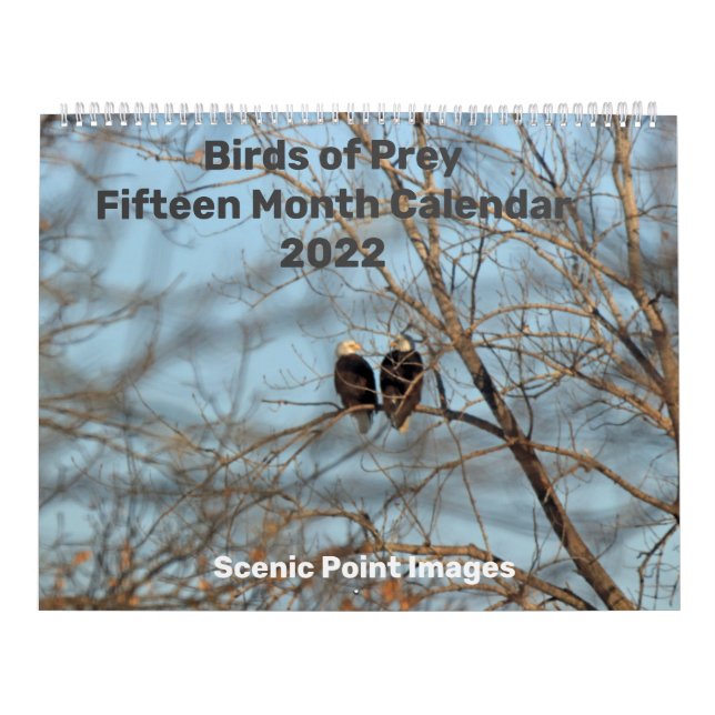 Birds of Prey 2022 Fifteen Month Calendar (Cover)