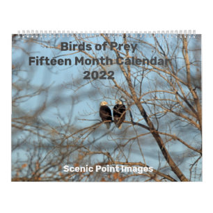 Birds of Prey 2022 Fifteen Month Calendar