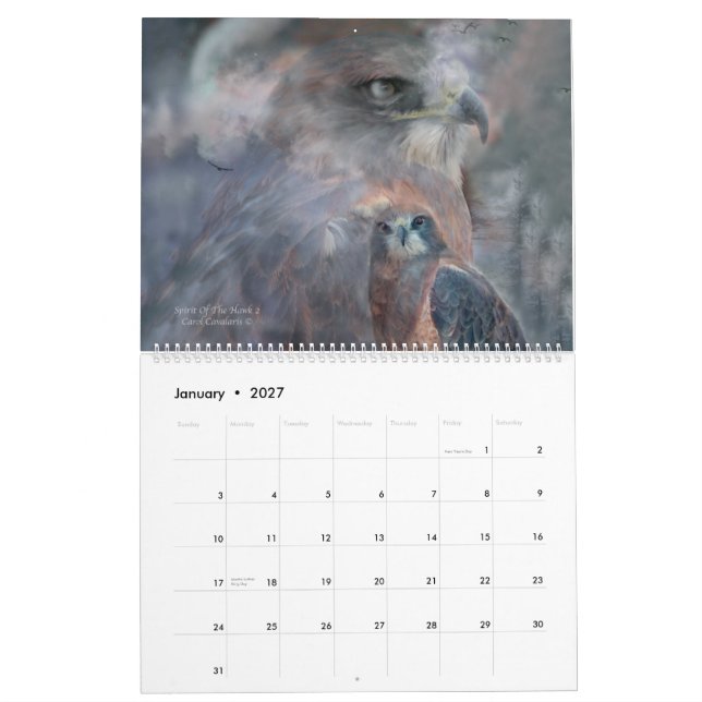 Birds Of Prey Art Calendar 2015 (Jan 2027)