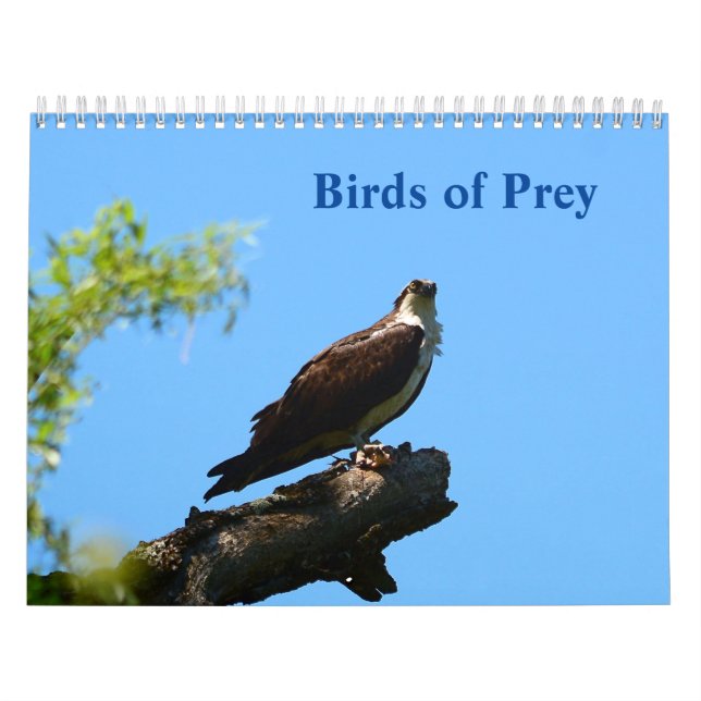 Birds of Prey Calendar (Cover)