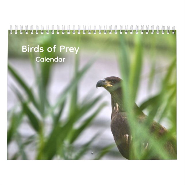 Birds of Prey Calendar (Cover)