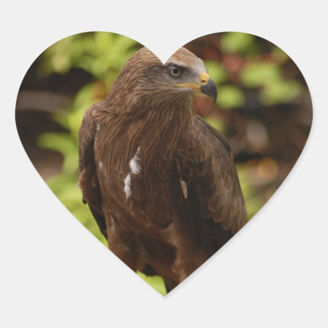 Birds of prey heart sticker (Front)